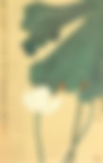 Lotus (preview)