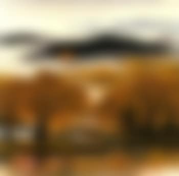 Lakeside scenery (preview)