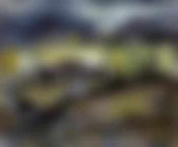 Countryside (preview)