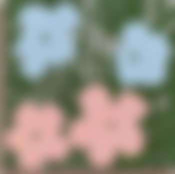 Flowers (preview)
