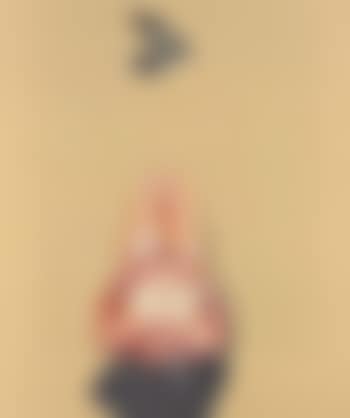 Leta and the Eastern king bird (preview)
