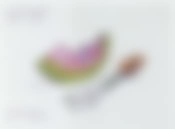 Carrot and watermelon with flies, Marfa, Texas by Coosje van Bruggen (preview)