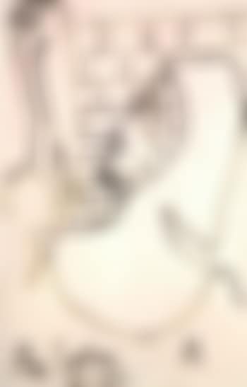 Le fauconnier (preview)