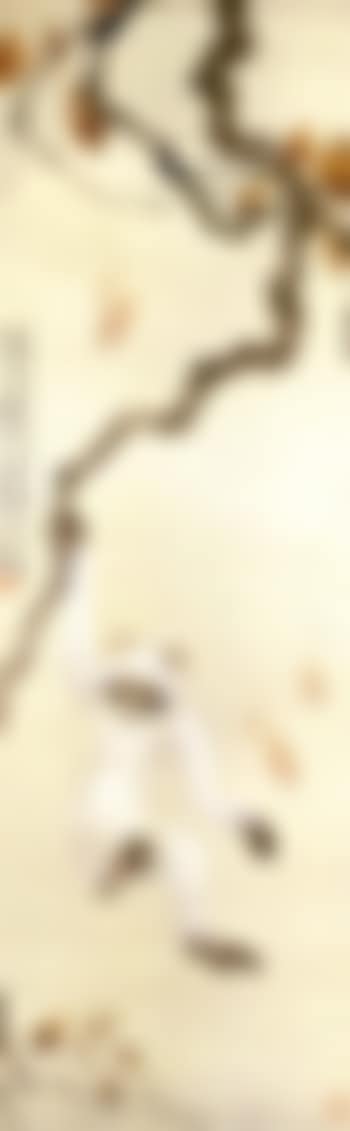 White gibbon in the moonlight (preview)