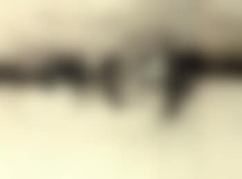 Untitled - composition (preview)