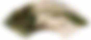 Blue and green landscape (preview)