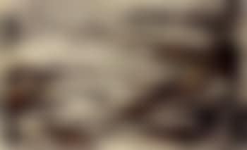 The sedge has withered from the lake (preview)