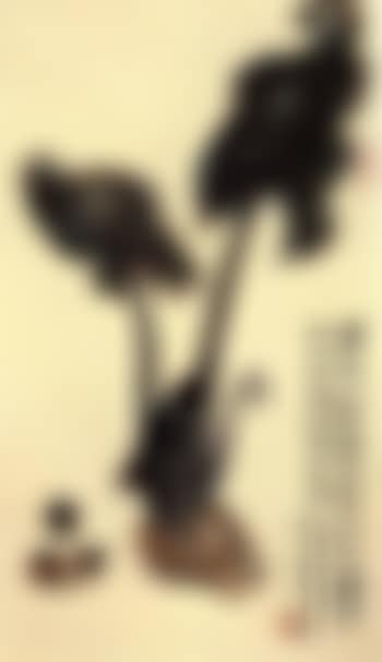 Taro (preview)