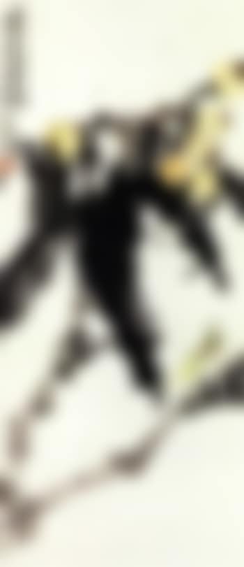 Loquat and mantis (preview)