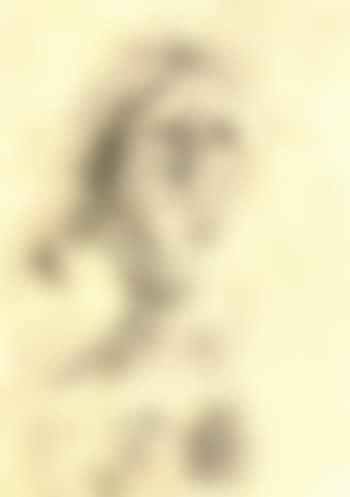 Untitled - female figure (preview)