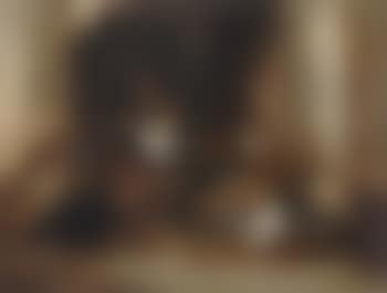 Le poulailler (preview)