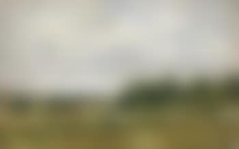 Troupeau en bord de riviere (preview)