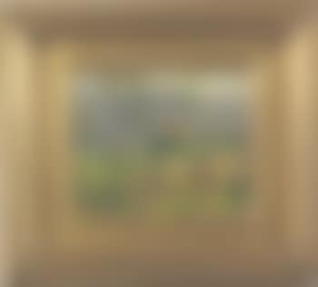 Fertile meadow (preview)