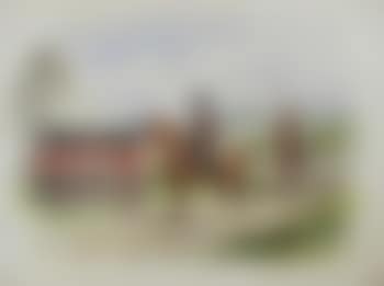 The Gordan Highlanders (preview)