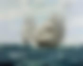 Fight between Grand Turk and Hinchinbrook (preview)