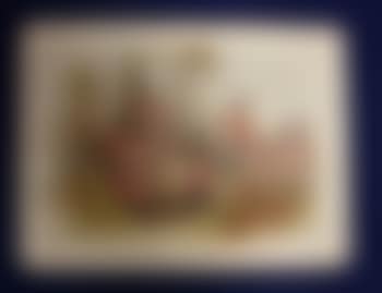 Black Watch, 42nd Highlanders, in action (preview)