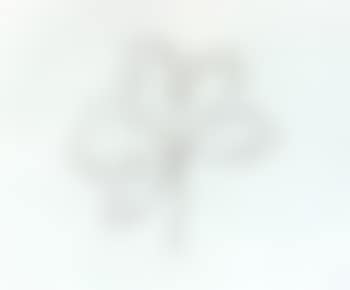 Oak III (preview)