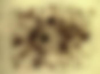 Sketch of project for extraterrestrials series no 9, fetus movement (preview)