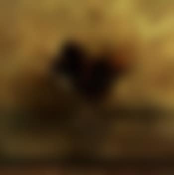Still life of mangosteen (preview)