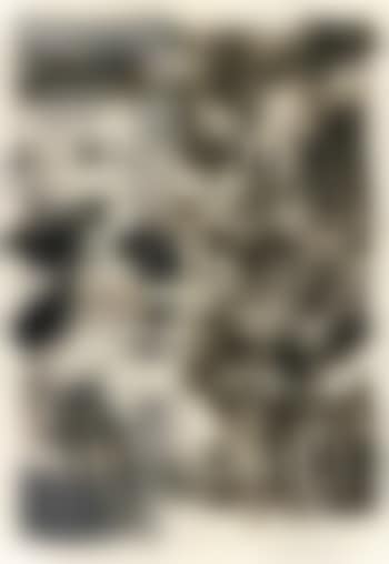 License (preview)