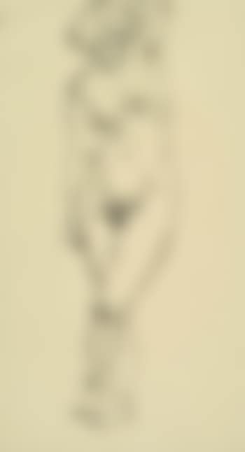 Standing female nude (preview)