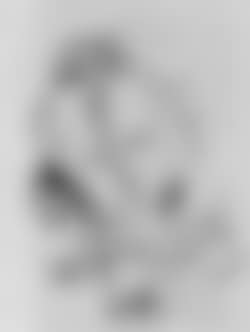 Woman's head (preview)