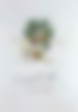 Abricot (preview)