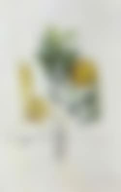 Pamplemousse erotique (preview)