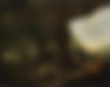 Returning from falcon hunt (preview)