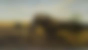 Buffalo on the Savannah (preview)