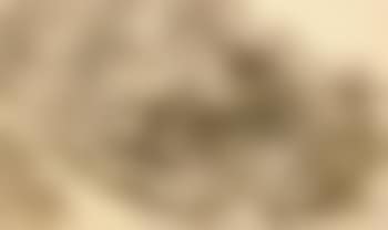 Wooded hillside (preview)