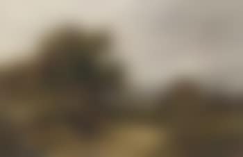 Young girl on country road (preview)