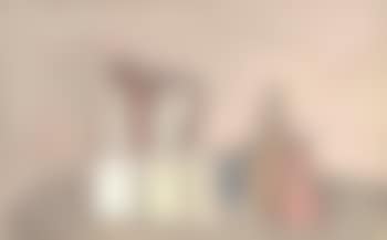 Still life (preview)