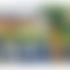 Chatou, paysage a l'arbre rouge (preview)