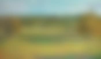 Landscape in Civray (preview)
