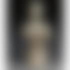 Torso of walking woman (preview)