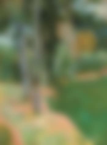 Grands arbres (preview)