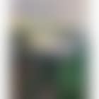 View from Nordstrand (preview)