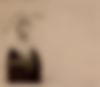 In memoriam Cecchino Bracci (preview)