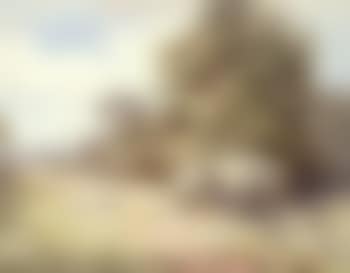 Haymaking (preview)