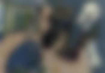 Figures (preview)