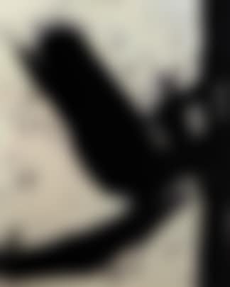 Wallon (preview)