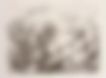 Le viol V (preview)