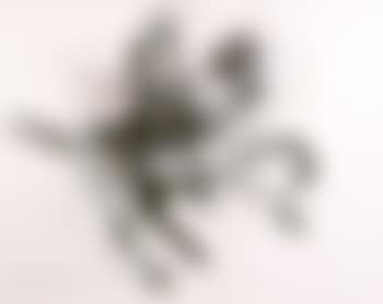 Study for Don Quixote (preview)