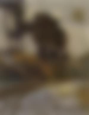 December, north of Flanders (preview)