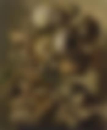 Sunflower seed (preview)