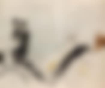 Lady in cart (preview)