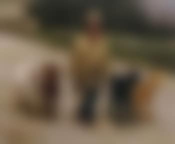 Little shepherd (preview)