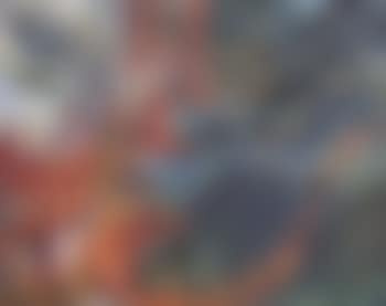 San Francisco Bay Bridge (preview)