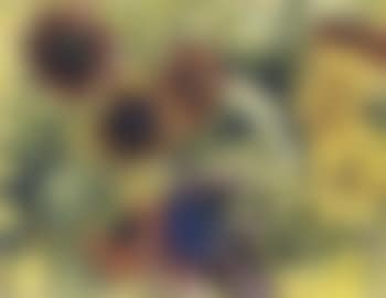 Sunflowers (preview)